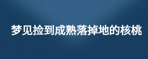 夢(mèng)見(jiàn)撿到成熟落掉地的核桃