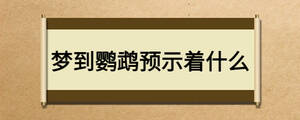 夢到鸚鵡預(yù)示著什么