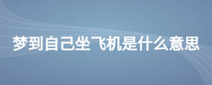 夢到自己坐飛機(jī)是什么意思