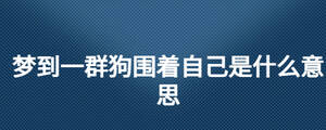 夢到一群狗圍著自己是什么意思