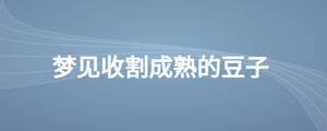 夢見收割成熟的豆子