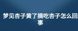 夢(mèng)見杏子黃了摘吃杏子怎么回事