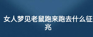 女人夢見老鼠跑來跑去什么征兆