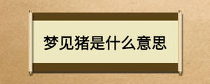 夢見豬是什么意思