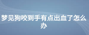 夢見狗咬到手有點(diǎn)出血了怎么辦