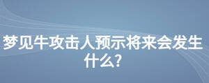 夢見牛攻擊人預示將來會發(fā)生什么?