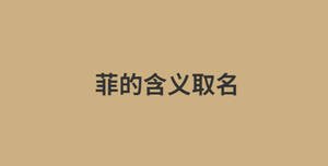 消息今日資訊熱點新聞公眾號首圖 (1).jpg