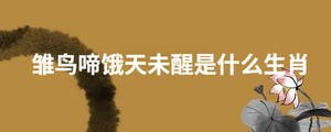 起名 (6).jpg