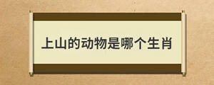 問(wèn)答 (32).jpg