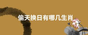 起名 (50).jpg