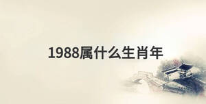 傳統(tǒng) (53).jpg