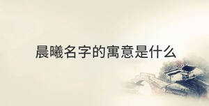 傳統(tǒng) - 2022-08-18T113305.372.jpg