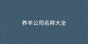 深色背景 - 2022-09-21T142928.902.jpg