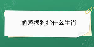 偷雞摸狗指什么生肖