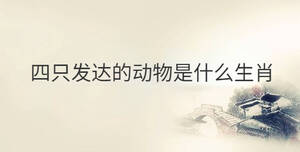 傳統(tǒng) - 2022-10-28T132244.880.jpg