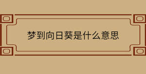 自創 - 2022-11-12T103536.139.jpg