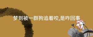 起名 - 2022-11-21T134733.503.jpg