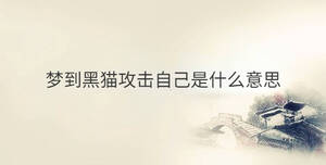傳統 - 2022-11-21T141522.513.jpg