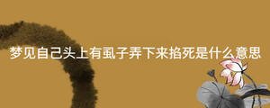 起名 - 2022-12-05T095657.786.jpg