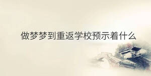 傳統(tǒng) - 2022-12-06T154935.199.jpg