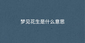 深色背景 - 2022-12-12T163230.717.jpg