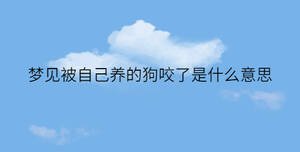 簡約藍色背景 - 2022-12-13T092814.274.jpg