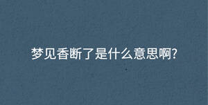 深色背景 - 2022-12-13T110358.171.jpg