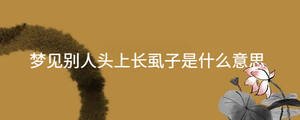 起名 - 2022-12-14T142316.291.jpg