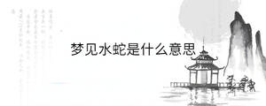 背景圖 - 2022-12-15T140934.243.jpg
