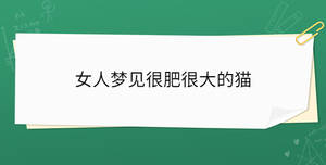 開學(xué)季 - 2022-12-22T114349.006.jpg