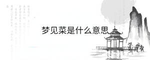 背景圖 - 2023-02-08T114239.307.jpg