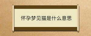 問答 - 2023-03-24T114810.186.jpg