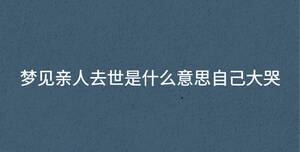 深色背景 - 2023-04-07T151559.764.jpg