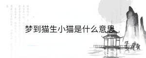 背景圖 - 2023-05-10T100044.806.jpg