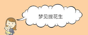 寶寶取名 - 2023-05-11T111746.346.jpg