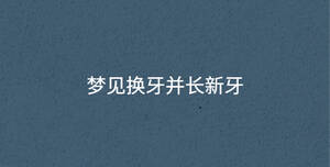 深色背景 (44).jpg