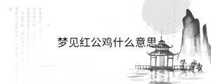 背景圖 - 2023-06-29T133347.686.jpg