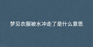 深色背景 - 2023-07-12T114157.427.jpg