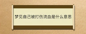 問答 - 2023-07-22T113135.506.jpg