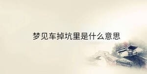 傳統(tǒng) - 2023-07-22T153041.375.jpg