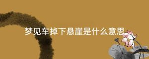 起名 - 2023-08-05T114623.596.jpg