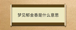 問答 - 2023-08-14T152425.097.jpg
