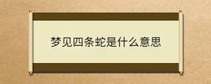 問答 - 2023-08-18T091644.991.jpg