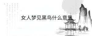 背景圖 - 2023-08-25T100942.703.jpg