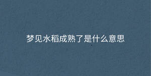 夢(mèng)見水稻成熟了是什么意思