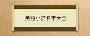 問答 - 2023-09-15T110029.416.jpg