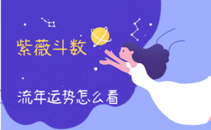 紫薇斗數