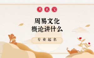 周易文化概論講什么