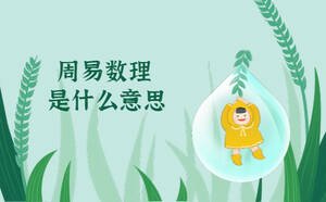 周易數(shù)理是什么意思